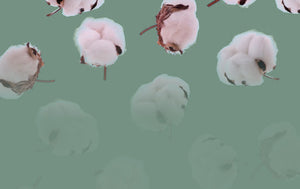 cotton balls all over visually displaying the material used for It-fits jersey sheets on a sage green background