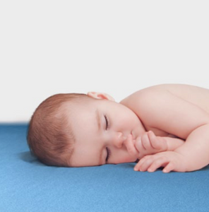 Fitted Sheet | Fitted Sheet Products Are Designed To Fit Any Bedding